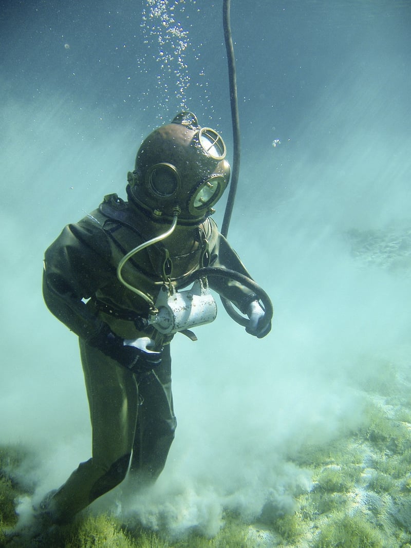 Snorkeling with Marine Life