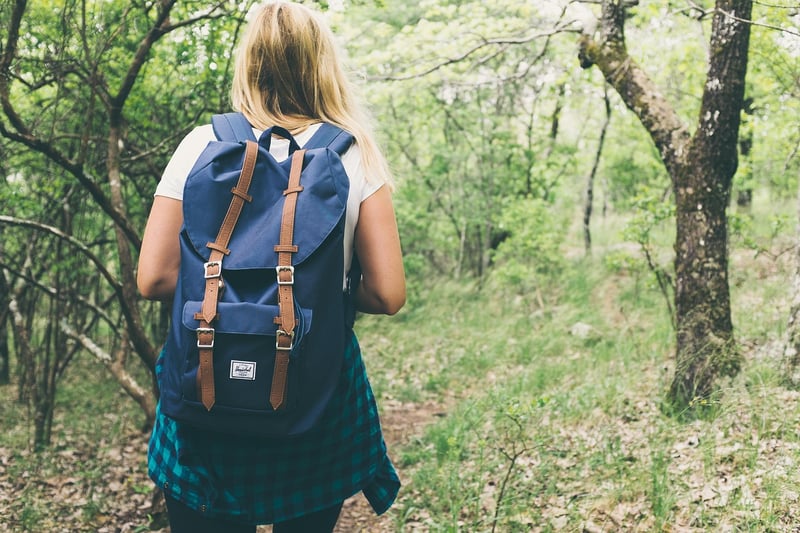Hiking in the Wilderness