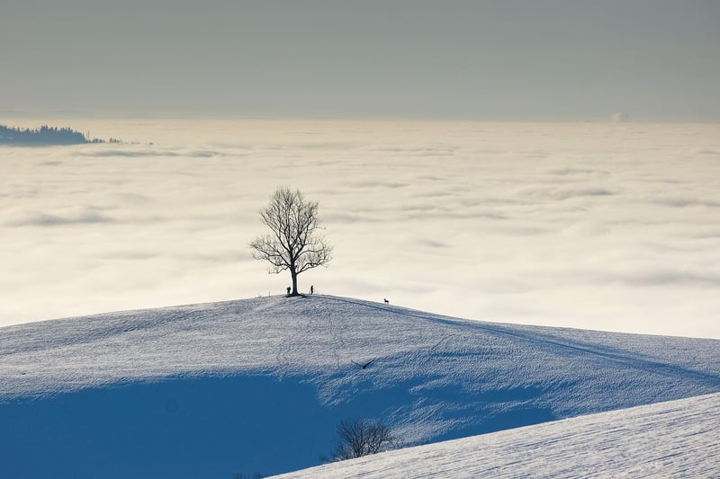Swiss Alps, Switzerland