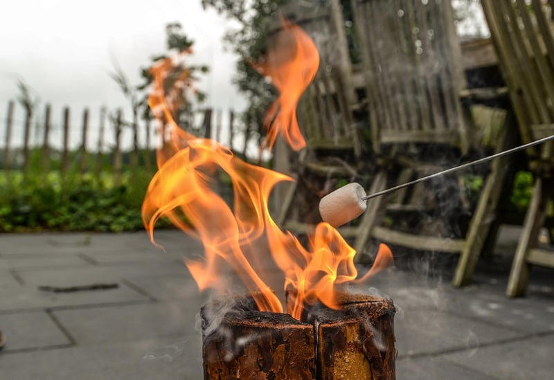 Roasting Marshmallows